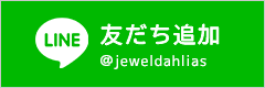 お友達追加