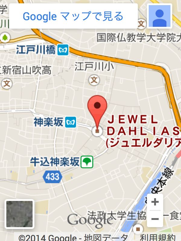 ジュエルダリアスへの地図をgoogleマップで見る